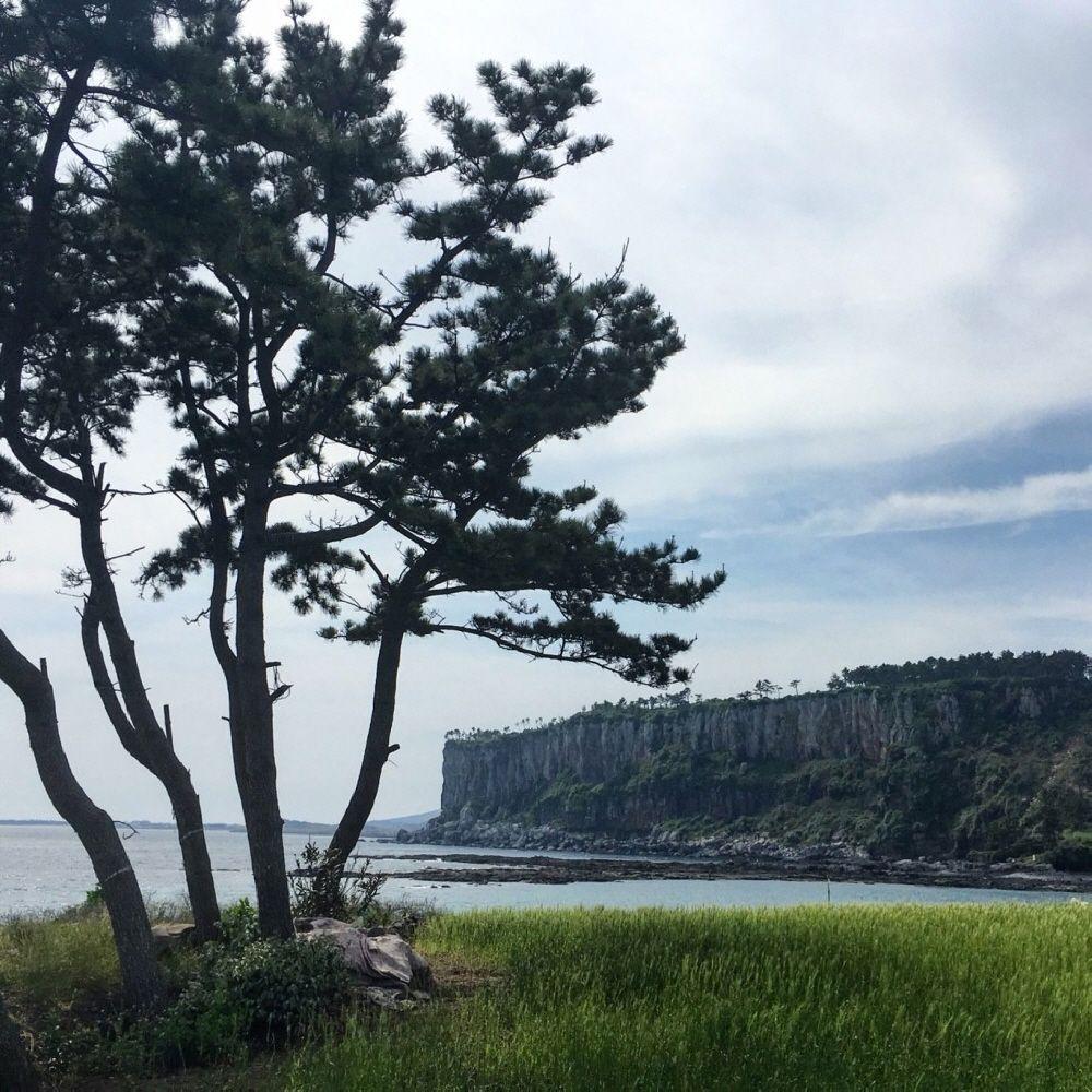 大坪裡泉水絕壁的神秘與壯觀，濟州島隱藏的寶石，令人流連忘返的天然景觀